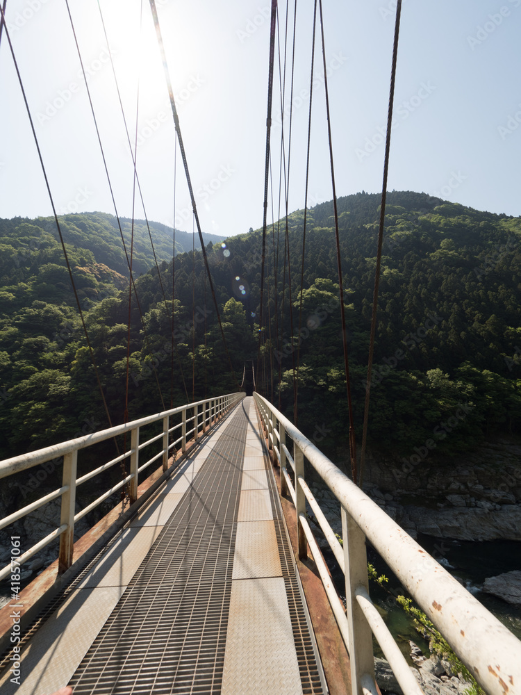 Obraz premium Puente sobre el río Yoshino, en el Valle de Iya, en la isla de Shikoku, Japón