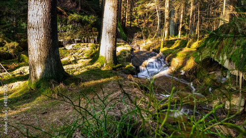 Waldnaabtal photo