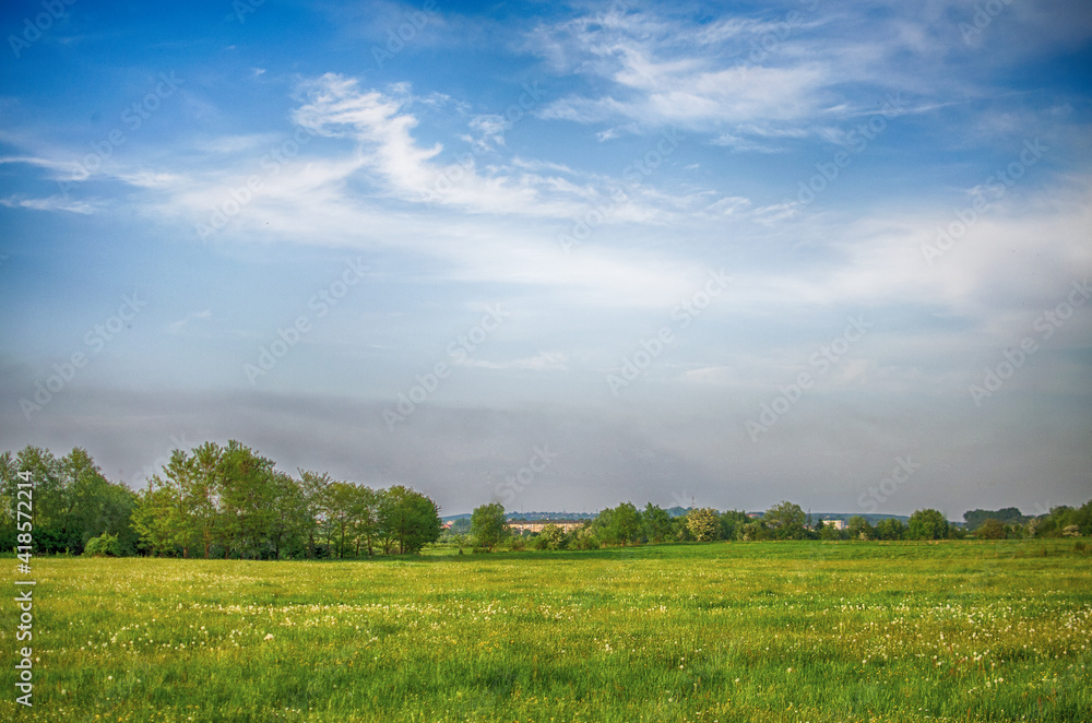 Boundless field with green grass for a good rest