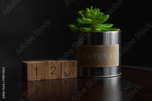 Feb 12st. Image of Feb 12 wooden cube calendar and an artificial plant on a brown wooden table reflection and black background. with empty space for text photo