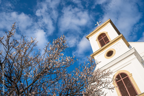 Small chapel with almond tree photo