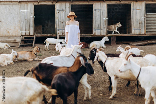 Beautiful woman and white dress and in a beige hat among goats on an eco farm