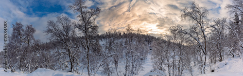 Winter landscape with frozen trees in winter in Lapland, Finland 