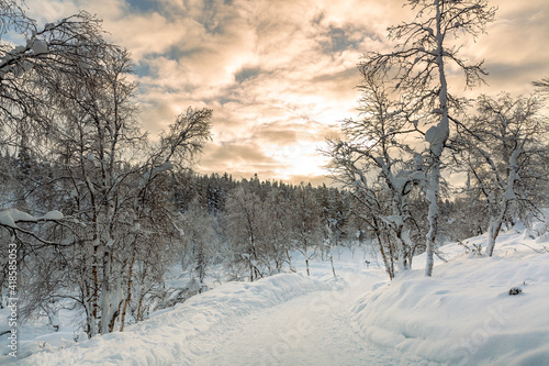 Winter landscape with frozen trees in winter in Lapland, Finland 