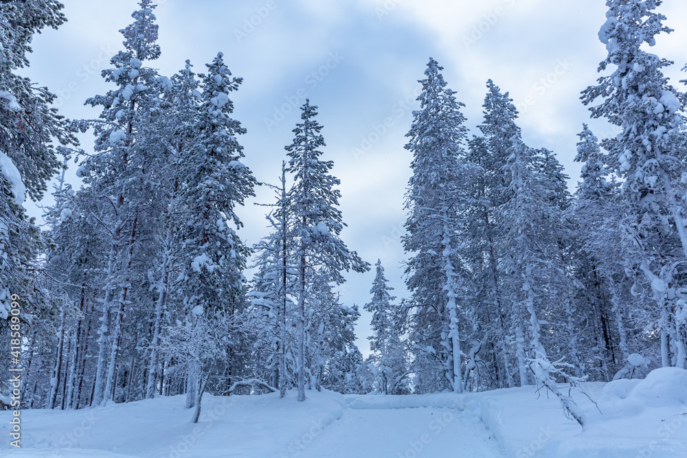 Fototapeta premium Winter Landscape in Finnish Lapland