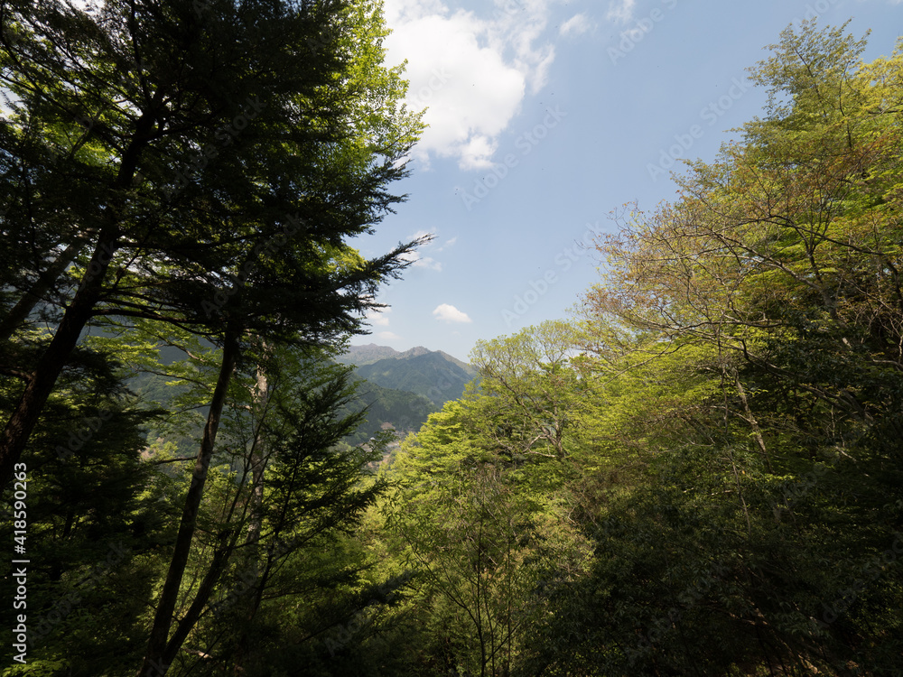 Vistas desde el Monorail Okuiya, en la isla de Shikoku, Japón Vistas desde el Monorail Okuiya, en la isla de Shikoku, Japón