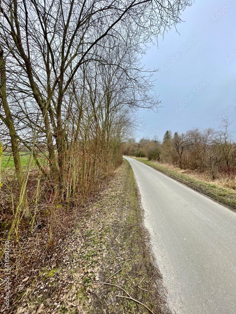 Fototapeta premium road in the countryside