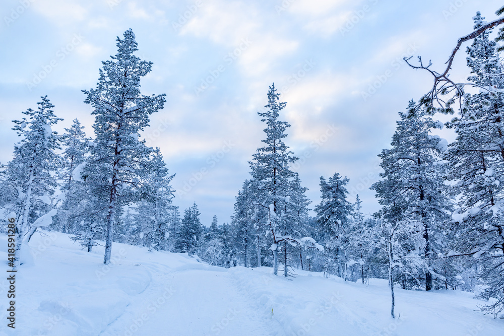 Winter Landscape in Finnish Lapland Winter Landscape in Finnish Lapland