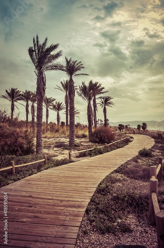 paseo marítimo de madera junto al mar y las palmeras para tomar el sol y caminar en el parque natural de cabo de gata, almeria (España)