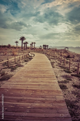 paseo marítimo de madera junto al mar y las palmeras para tomar el sol y caminar en el parque natural de cabo de gata, almeria (España)
