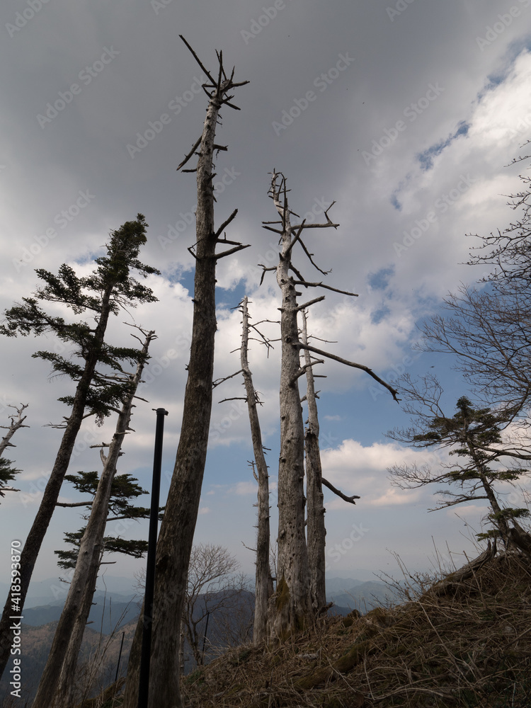 Monte Tsurugi, en el Valle de Iya, en la isla de Shikoku, en Japón Monte Tsurugi, en el Valle de Iya, en la isla de Shikoku, en Japón