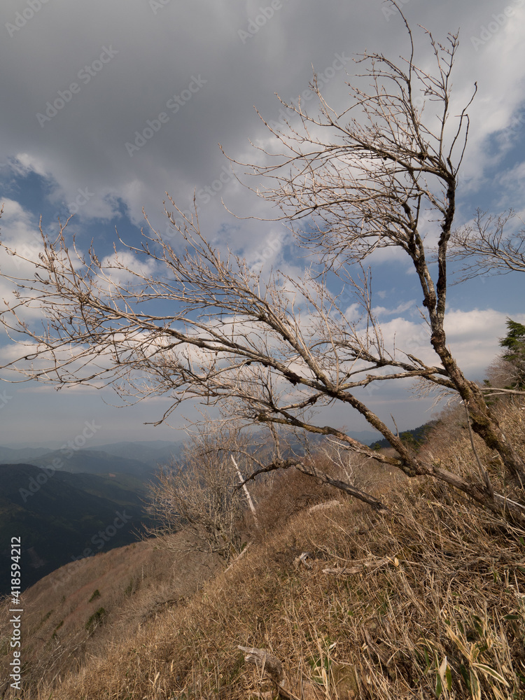 Fototapeta premium Monte Tsurugi, en el Valle de Iya, en la isla de Shikoku, en Japón