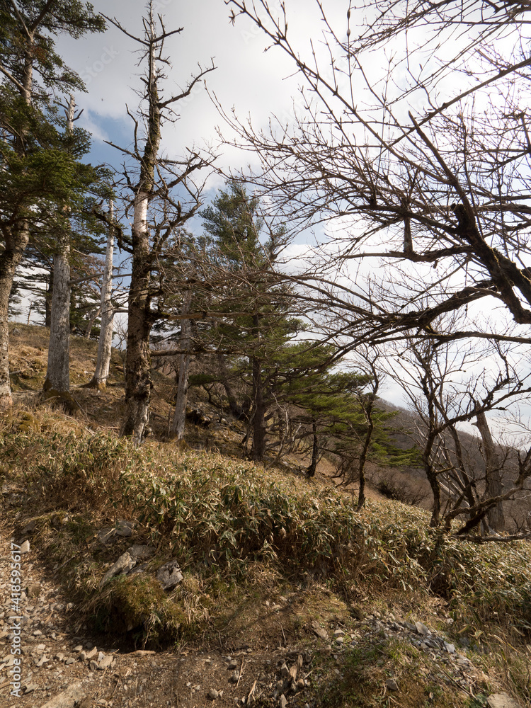 Monte Tsurugi, en el Valle de Iya, en la isla de Shikoku, en Japón Monte Tsurugi, en el Valle de Iya, en la isla de Shikoku, en Japón