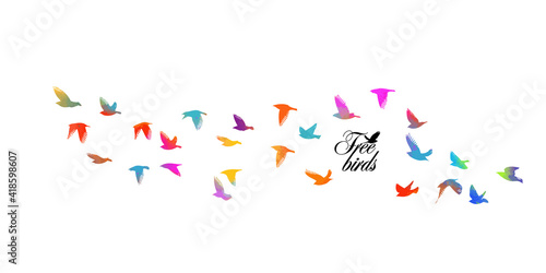 Bird watercolor. A flock of colorful birds. Mixed media. Vector illustration