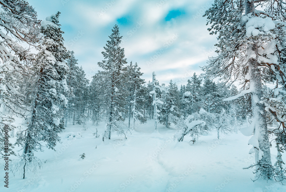 Naklejka premium Winter landscape