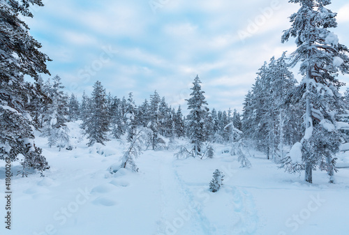 Winter landscape in Finnish Lapland © Subodh