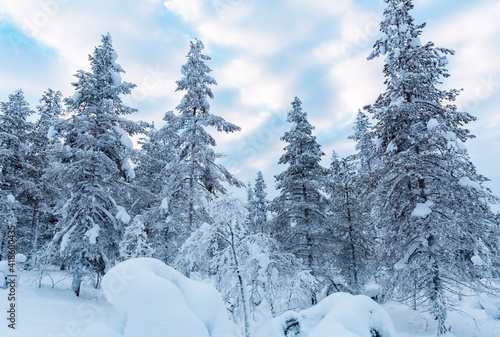 Winter landscape in lapland finland