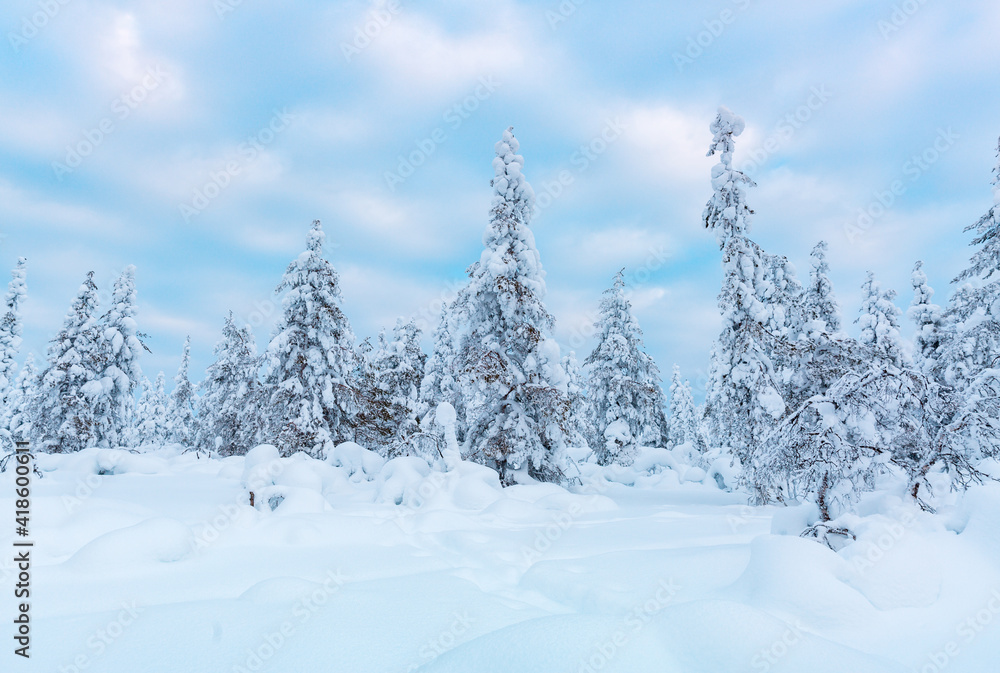 Winter landscape in Finnish Lapland Winter landscape in Finnish Lapland