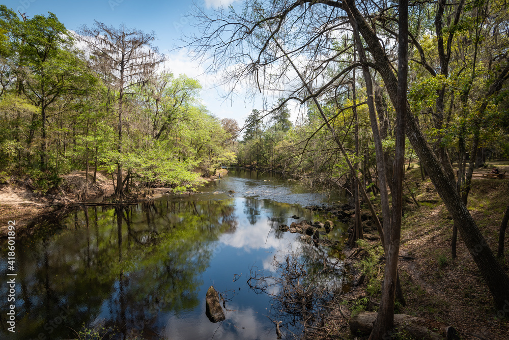 Beautiful Nature Park