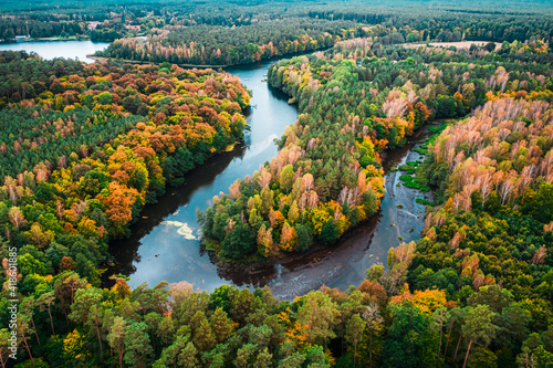 Colorful forest and curvy river in autumn. Aerial view