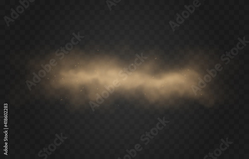 Vector sandy dust cloud. Clouds with dust particles. Sandstorm on an isolated transparent background. PNG.