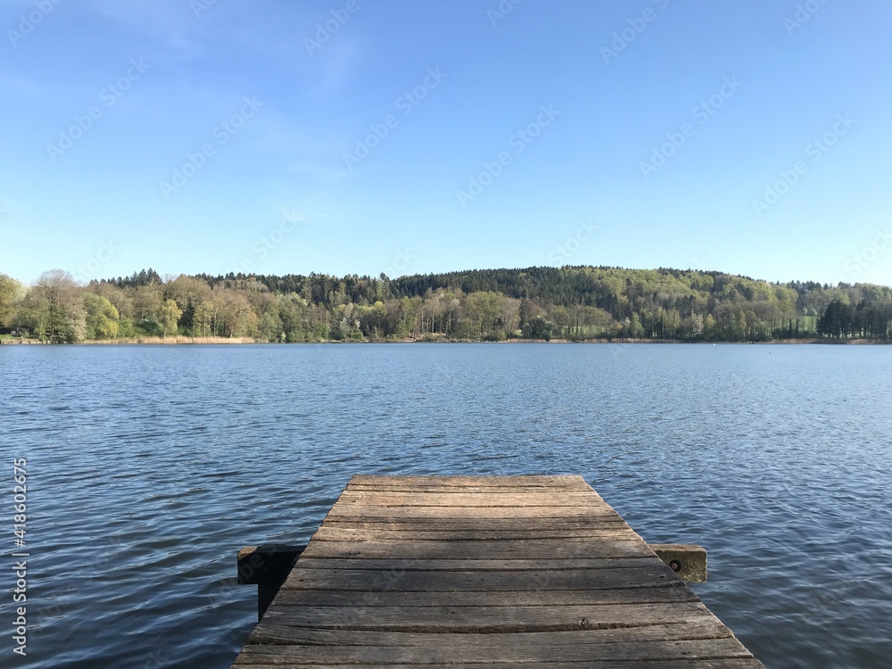 Naklejka premium Steg