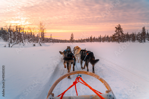 husky sledge in Lapland	

