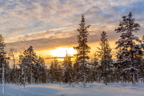 Snowy wilderness landscape, in Lapland, Finland, during a bright sunset