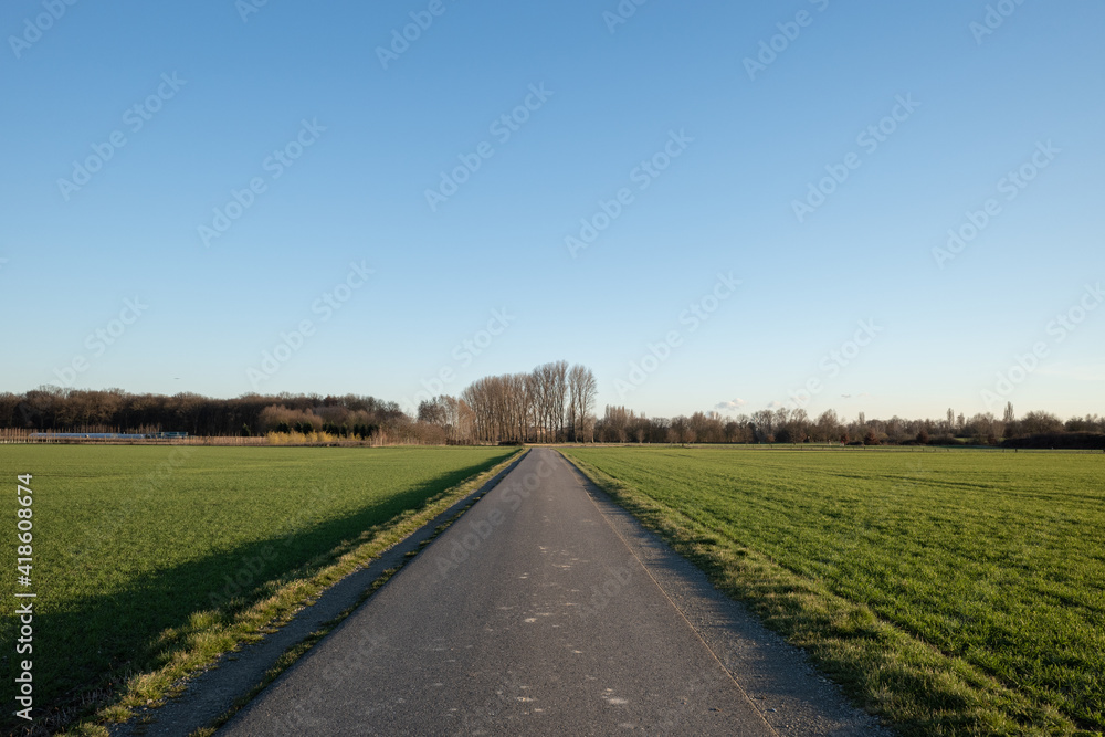 Diminishing perspective view of tranquil street between agricultural field on countryside area in Germany against blue sky. 