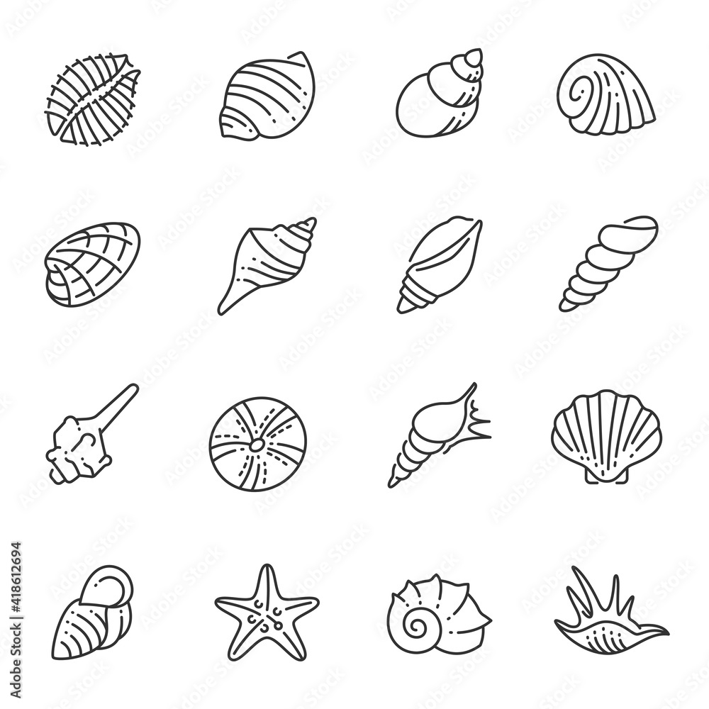 Set of monochrome contour sea shells line icon ocean underwater wildlife shellfish nautical mollusk Set of monochrome contour sea shells line icon ocean underwater wildlife shellfish nautical mollusk