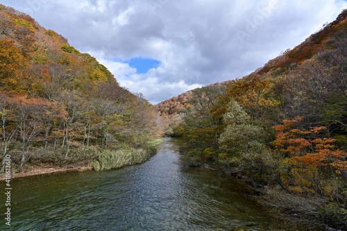 子ノ口付近の奥入瀬渓流の紅葉情景＠青森