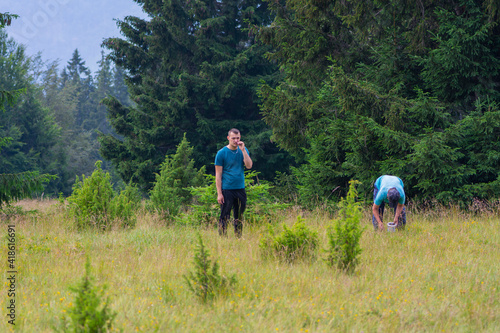 Two man in the forest at summer day. Boy holding toothpick in his mouth and man picking fresh wild blueberries © MuamerO