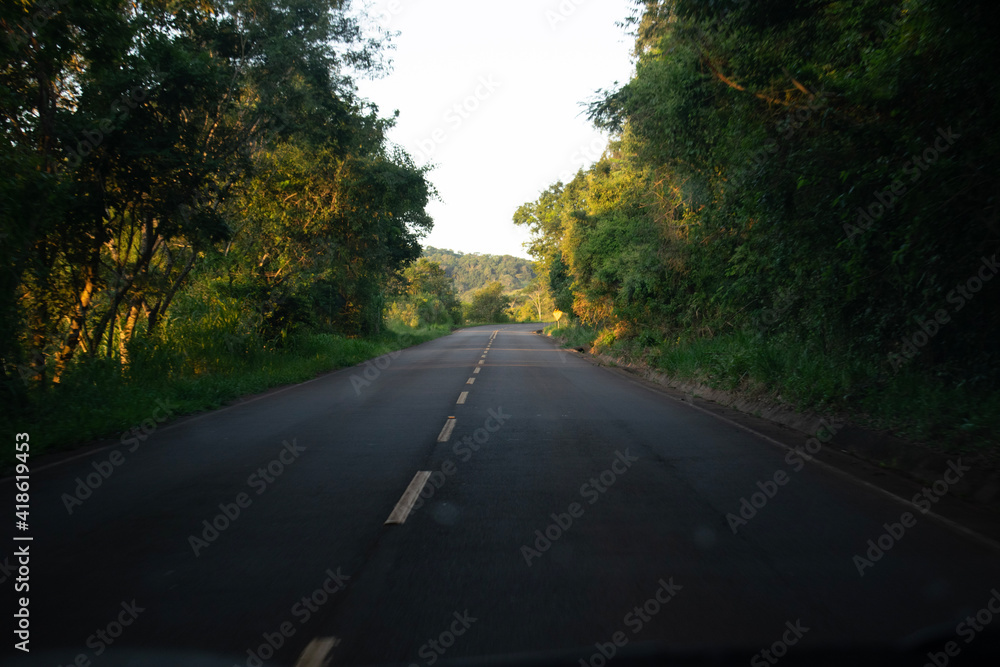 Fototapeta premium road in autumn