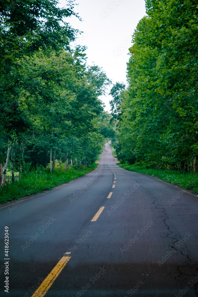 road in the forest