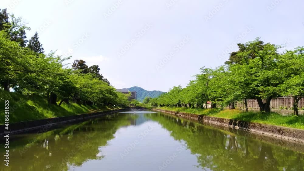 春の鶴岡公園 春の鶴岡公園