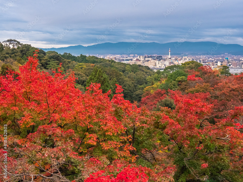 Kyoto/Japan - November 19, 2019: view on the city early autumn morning.