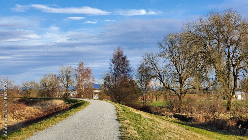 Fototapeta premium the look of fall