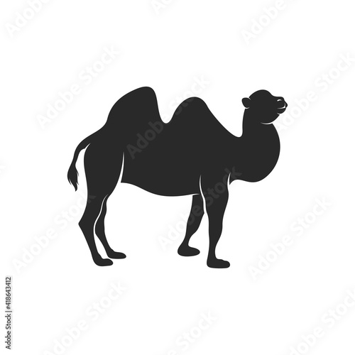 Camel vector illustration design  silhouette camel with black colour