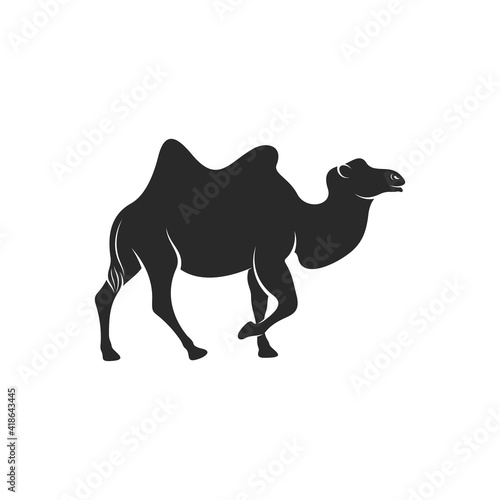 Camel vector illustration design  silhouette camel with black colour