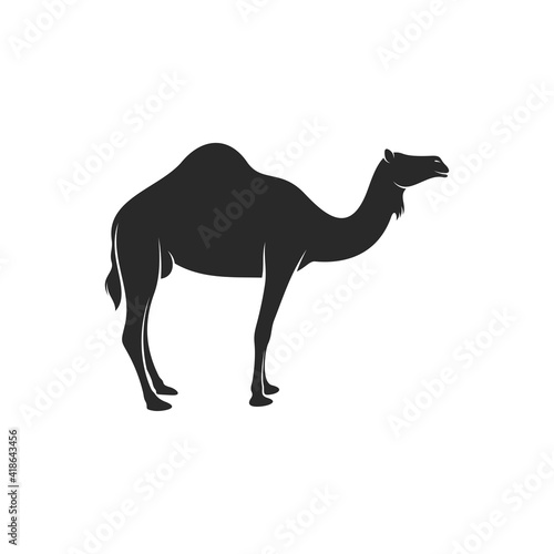 Camel vector illustration design, silhouette camel with black colour