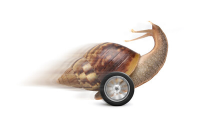 Speedy garden snail with wheel and motion blur isolated on white background. Speed conceptual image.
