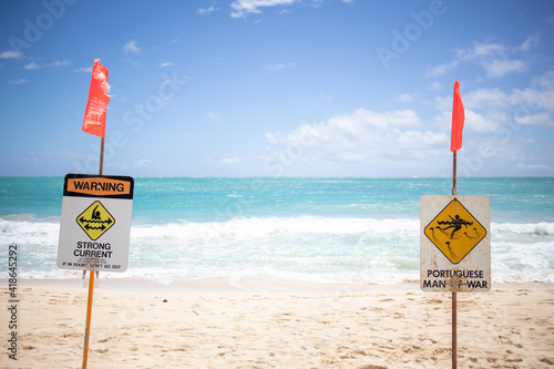 ハワイのビーチ