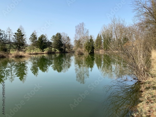 Gizlen pond (Gizlen Weiher) next to the natural protection zone Aargau Reuss river plain (Naturschutzzone Aargauische Auen in der Reussebene), Aristau - Switzerland (Schweiz) photo