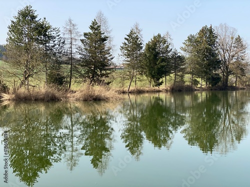 Gizlen pond (Gizlen Weiher) next to the natural protection zone Aargau Reuss river plain (Naturschutzzone Aargauische Auen in der Reussebene), Aristau - Switzerland (Schweiz) photo