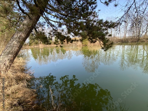 Gizlen pond (Gizlen Weiher) next to the natural protection zone Aargau Reuss river plain (Naturschutzzone Aargauische Auen in der Reussebene), Aristau - Switzerland (Schweiz) photo