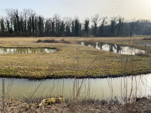 Die Altwasser im Rottenschwiler Moos and in the natural protection zone Aargau Reuss river plain (Naturschutzzone Aargauische Auen in der Reussebene), Rottenschwil - Switzerland (Schweiz) photo