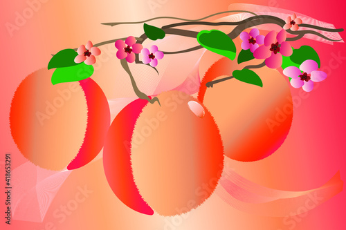 peaches and flowers on a branch

