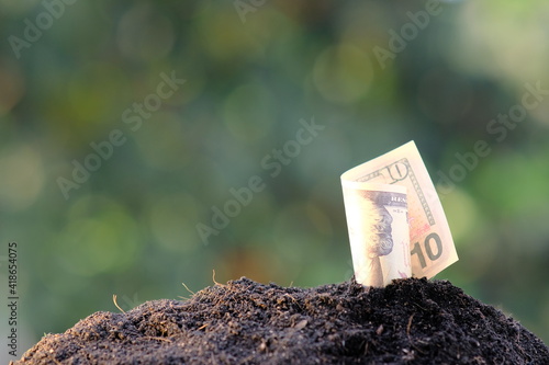 money growing in the grass