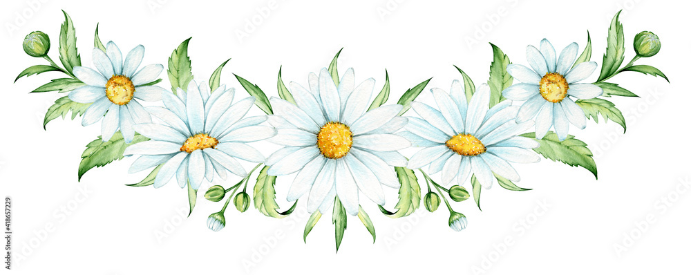 Chamomile leaves. Watercolor drawing, on an isolated background. A bouquet of vintage-style invitations and postcards.