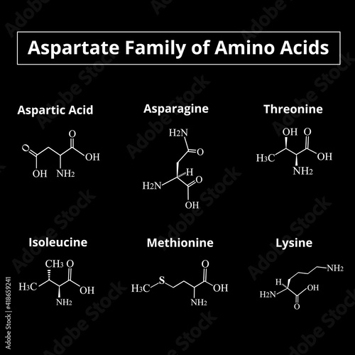 A family of amino acids aspartate. Chemical molecular formulas of amino acids aspartate, asparagine, threonine, isoleucine, methionine, lysine. Vector illustration on isolated background
